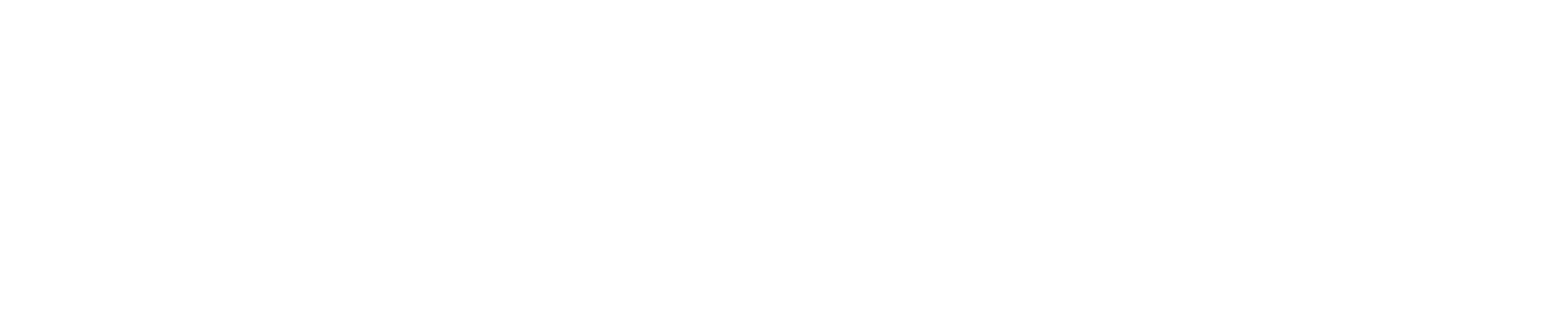 Migrant Society — Lifestyle without borders